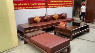 bộ sofa gỗ óc chó kèm đệm